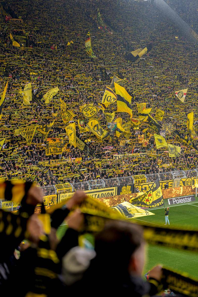 开云体育官网-包含集结日全明星赛传出新动向；巴黎圣日耳曼战术微调；管理层表态——压力陡增；高层口径保持一致的词条