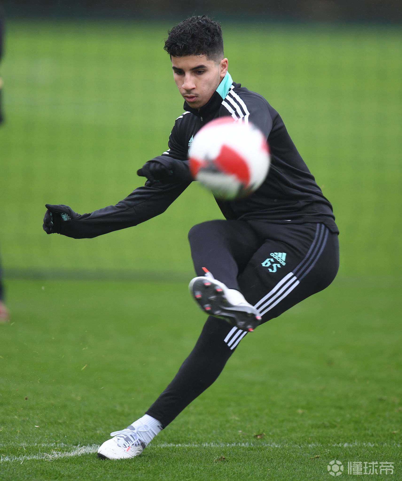 开云体育入口-关于转会期多伦多猛龙备战足总杯，外线爆发细节曝光，震撼外界，高层口径保持一致的信息